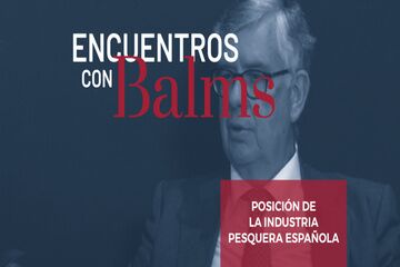 ¿Cómo está posicionada la industria pesquera española dentro de la comunidad europea? ¿Qué estrategia se debe seguir para impulsar el crecimiento de la industria?